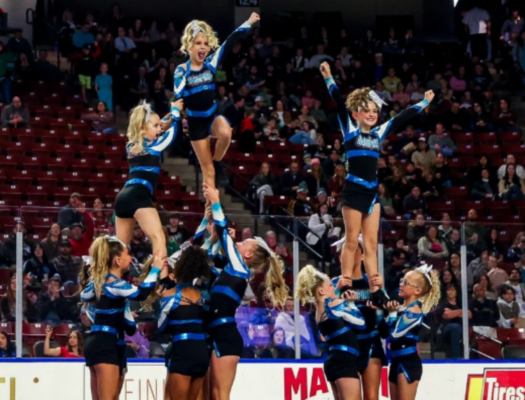 Untitled design - 2026-02-24T133050.555 Untitled design - 2026-02-24T133050.555